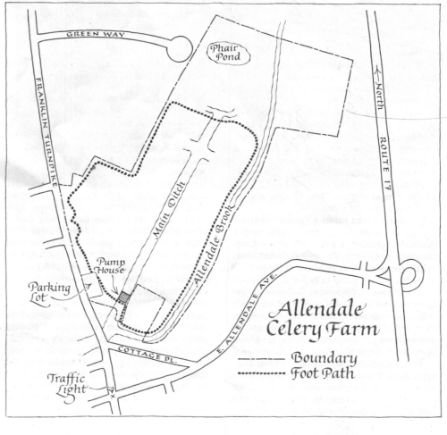 Img20230209_21494270 (1)