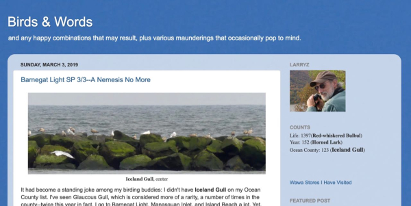 Screen Shot 2019-03-06 at 3.32.10 PM