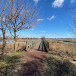 J Wright Mill Creek 030120_IMG_0950