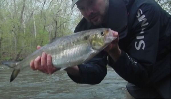 Screen Shot 2019-04-23 at 8.47.33 AM