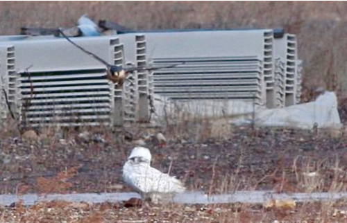 Screenshot 2025-07-15 at 7.17.26 PM