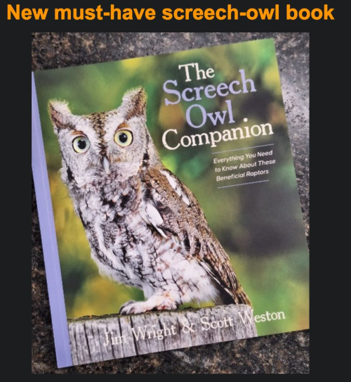 Screenshot 2023-12-04 at 11.01.34 AM