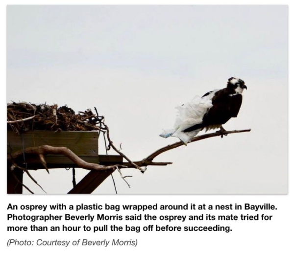 Screen Shot 2018-10-11 at 8.05.23 AM