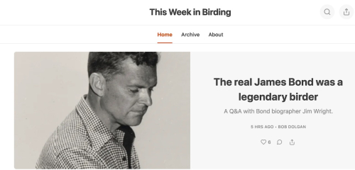 Screenshot 2023-10-02 at 12.50.16 PM