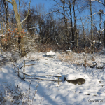 DSCN3655