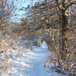DSCN3628