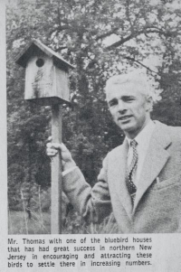 Stiles bluebird story 1 (2)