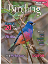 Screen Shot 2022-01-09 at 9.16.44 AM