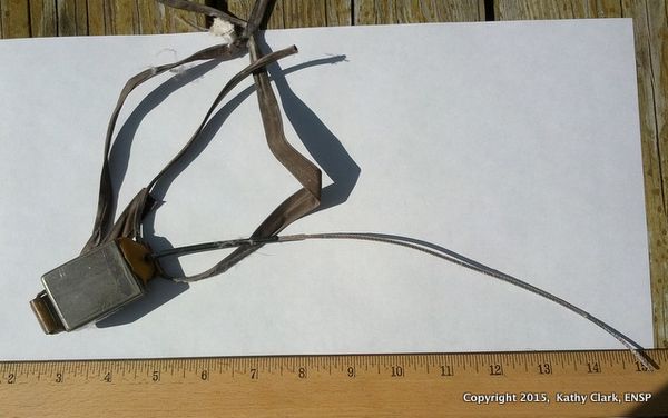 BE 629-30172 transR3-001