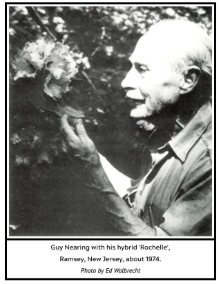 Screen Shot 2021-11-14 at 10.30.49 AM