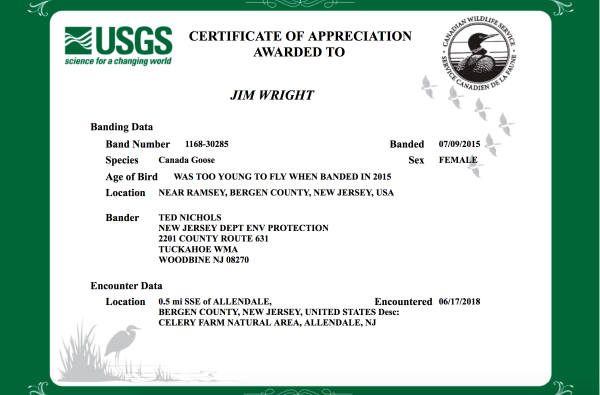 Certificate of Appreciation Goose