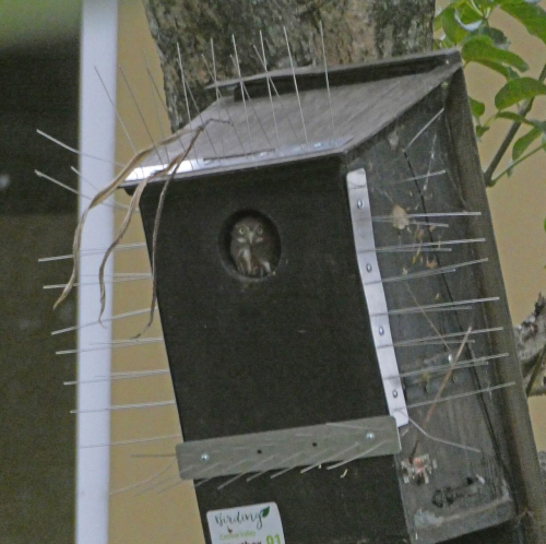 P1122485 copy P1122485 copy