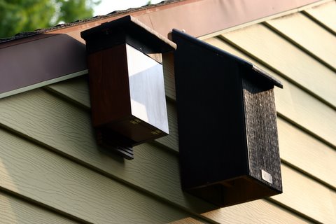 Bat houses