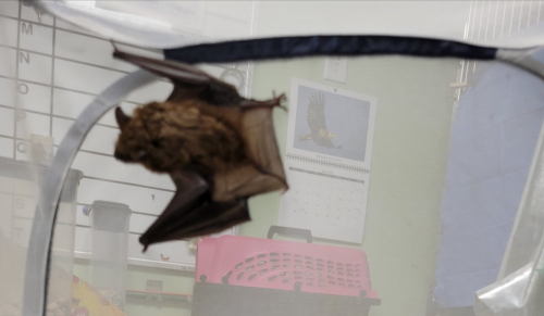 Resized_20230425_123016 (3)