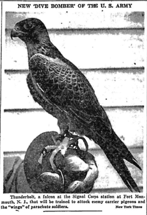 Screen Shot 2021-10-22 at 5.12.55 PM (1)