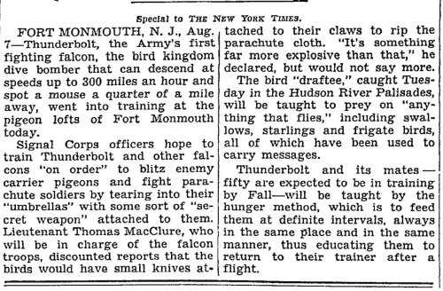 Screen Shot 2021-10-22 at 5.24.40 PM