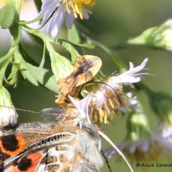 7W0A4554 (3) copy1bb