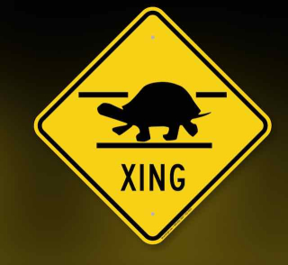 Screen Shot 2022-05-21 at 11.33.07 AM