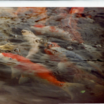 Img20240501_14491055