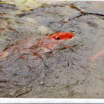 Img20240501_14483491