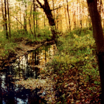 Img20240501_14513985