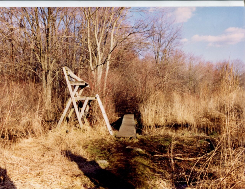 Img20240501_14523209