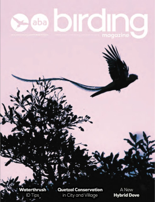 Birding Magazine cover Sept. 2024