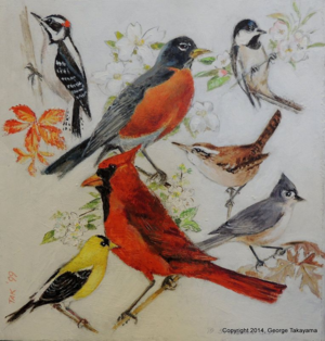 Takayama for birdwatcher(1)