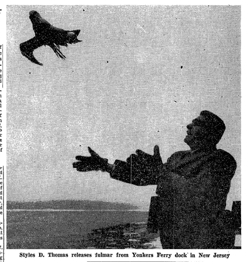 Screen Shot 2021-09-27 at 5.48.49 PM