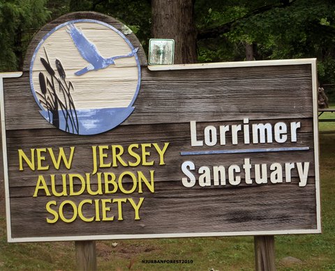Nj-audubon-society-lorrimer-sanctuary-001