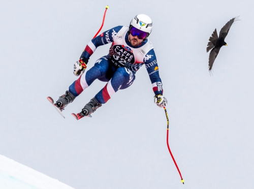 Screenshot 2025-03-02 at 4.58.54 PM