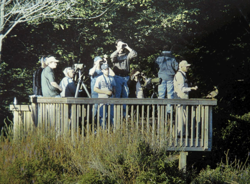 Screen Shot 2021-03-22 at 8.42.11 PM