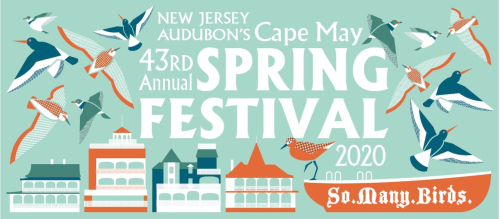 1 Cape May Spring Festival logo.  PM