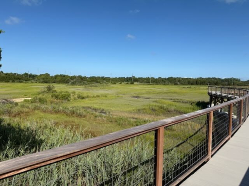 Cape May Nature Trails 1 IMG_1064 2