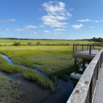Cape May Nature Trails 5 IMG_1071 2