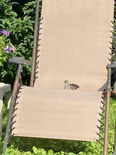 D94C31D5-B7BF-437B-B982-6A9E6B80D6A1