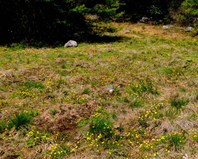 JW 050815 AM long shot DSCN9597-002