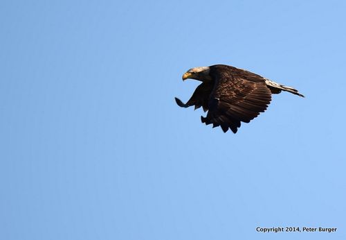 DSC_0052_IJFR(2)