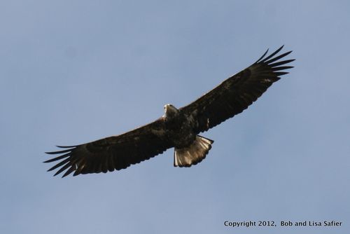 2012-03-15%20166%20(2)