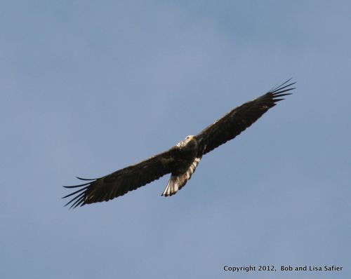 2012-03-15%20165%20(2)