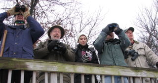 Celery farm birders