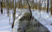 DSCN0113