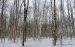 DSCN0117