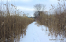 DSCN0139