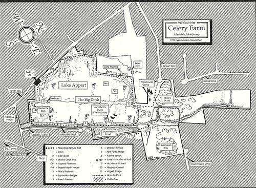 Ricohc550pro1852-001