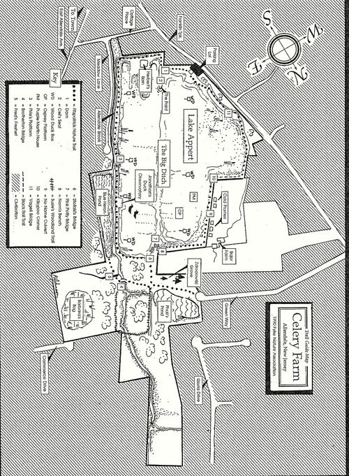 Ricohc550pro1852-002