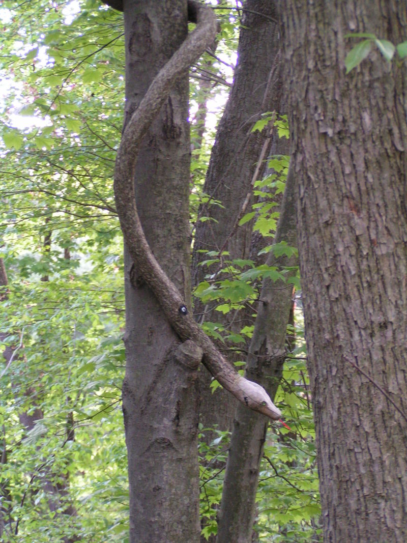 Snake 3