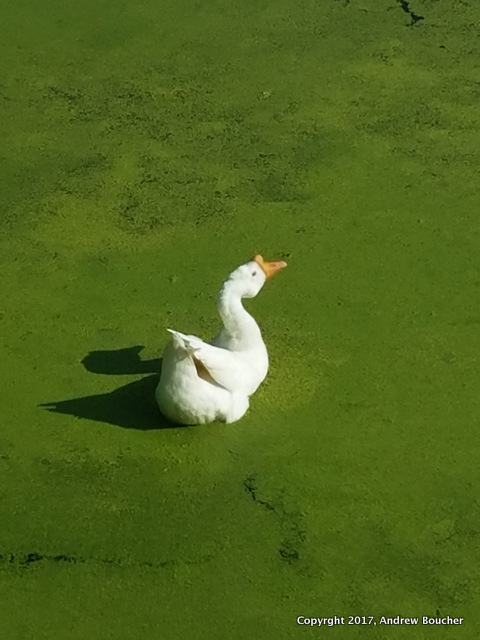 20170819_092746