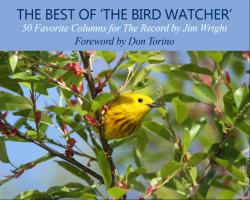 Best of Bird Watcher cover