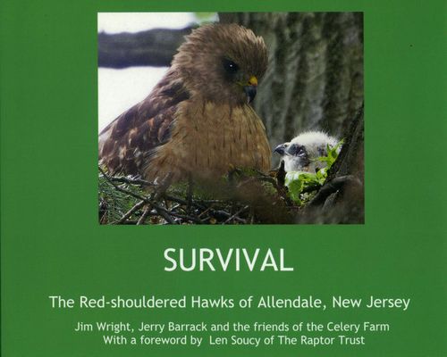 Red-shoulder cover 1